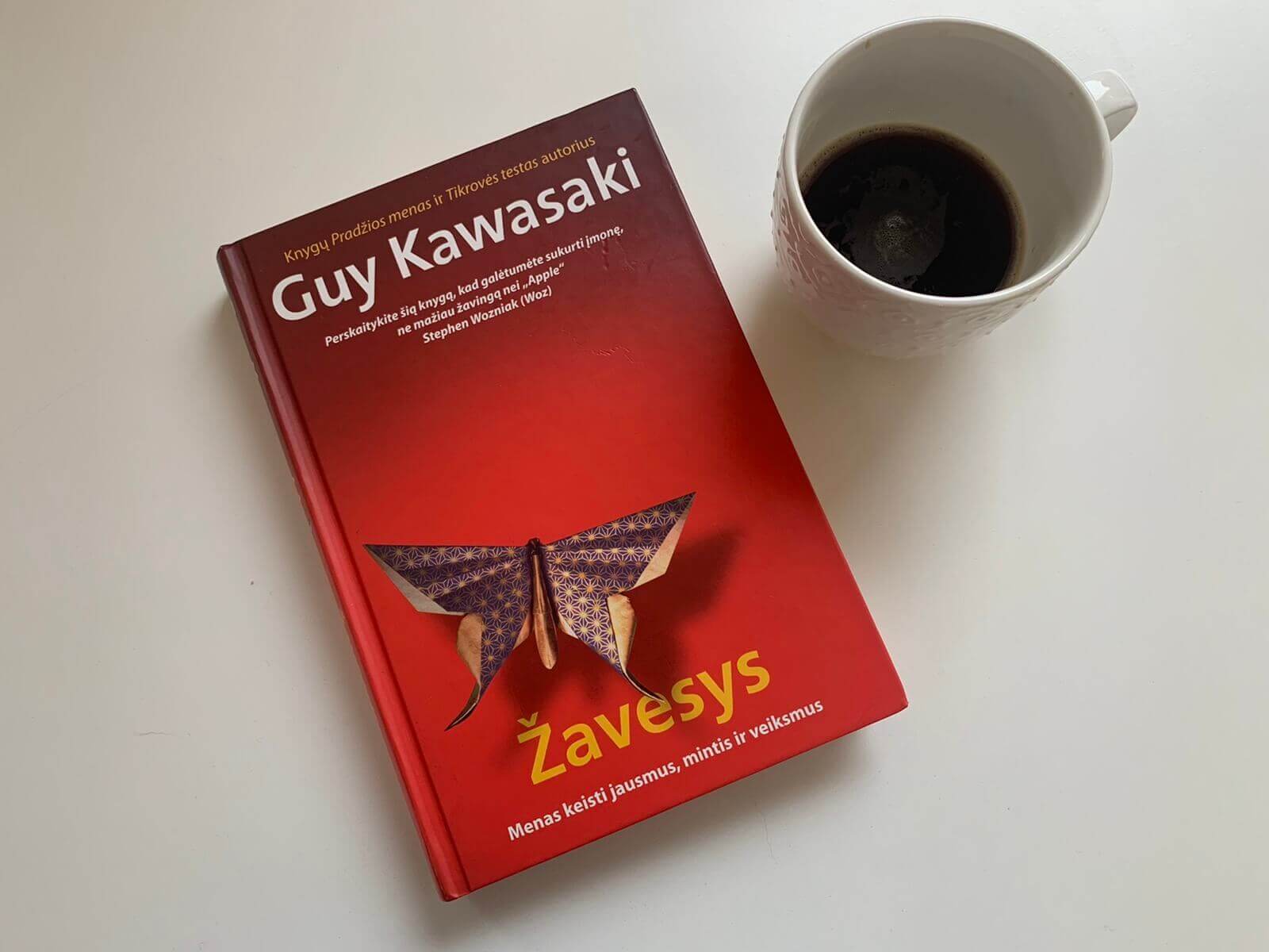 Žavesys knyga Guy Kawasaki