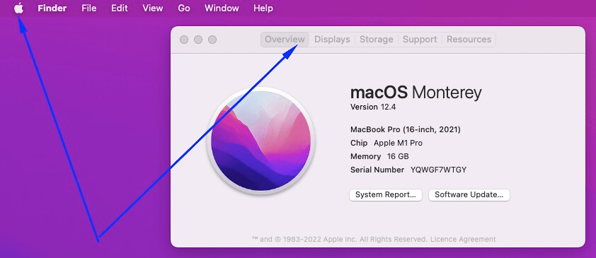 Mac kompiuterio parametrai kaip patikrinti kur pažiūrėti